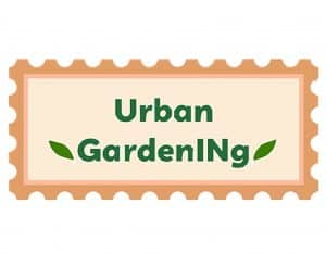 Titelbild Urban Gardening