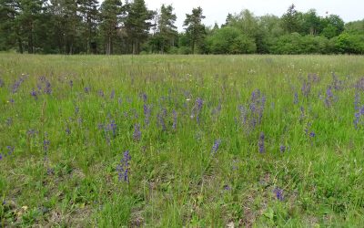 Umweltschutz in der Landwirtschaft