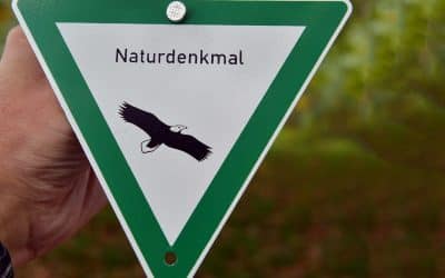 Neue Naturdenkmäler in Ingolstadt