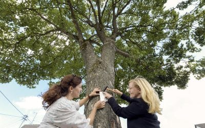Engagement zum Erhalt der Stadtbäume