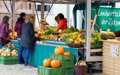 Ökobauernmarkt im Bauerngerätemuseum