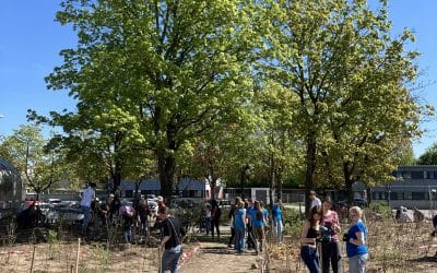 Tiny Forest – 900 Setzlinge am Schulzentrum Südwest gepflanzt